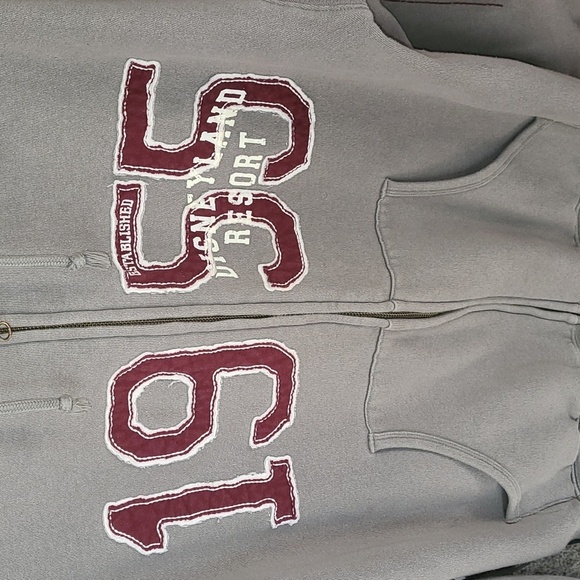 Disneyland Resort 1955 Zip front hooded sweatshirt.  Men's size M - Picture 2 of 7